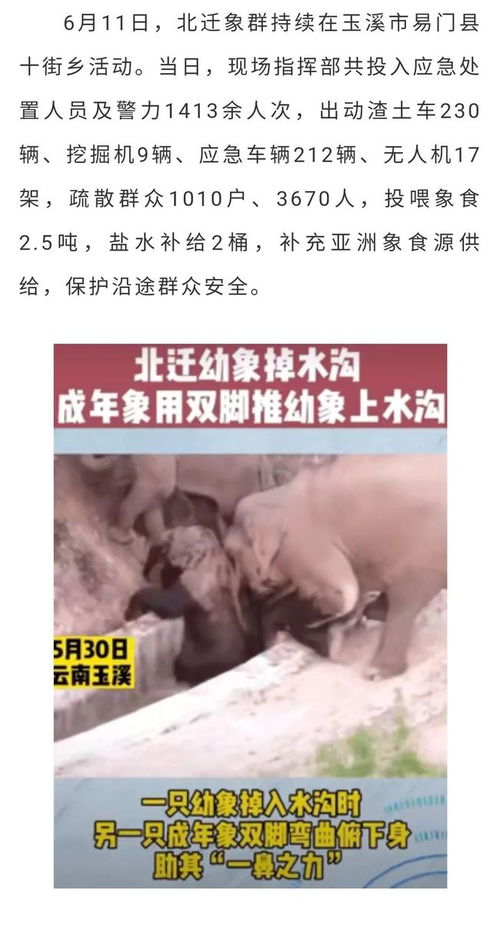 婚姻调解人，维系和谐关系的桥梁