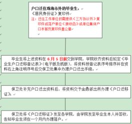 毕业生户口迁移全攻略，流程、注意事项与实用建议