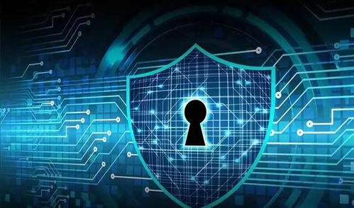 避风港原则，网络世界的保护伞