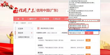 平顶山违章记录查询，守护您的驾驶安全与信用