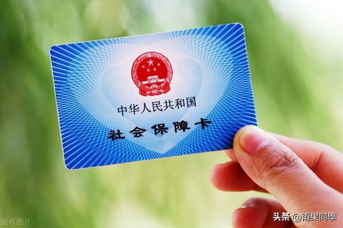 江宁社保网，数字化时代的便民服务与挑战