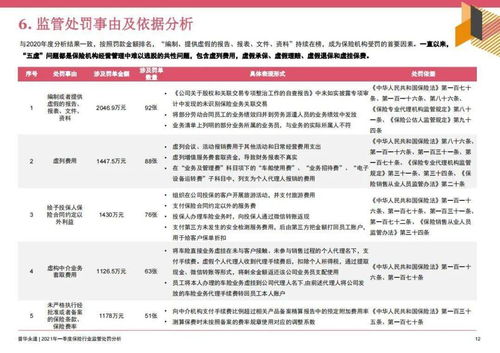 深入了解保险公司管理规定，保障与合规的桥梁