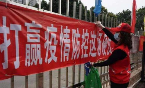 新郑市劳动局，守护劳动者权益的坚强后盾