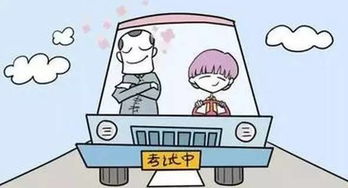 全面掌握机动车行驶证查询，步骤、意义与实用技巧