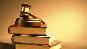 法律的力量，经典法律语句的启示与影响