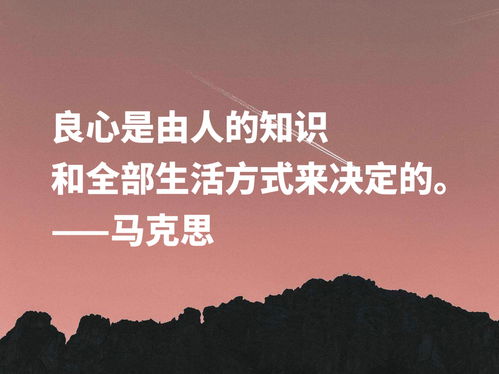法律的力量，霸气句子背后的智慧与权威