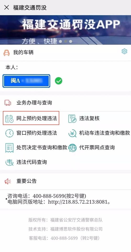 违章代码查询，您的交通违规指南