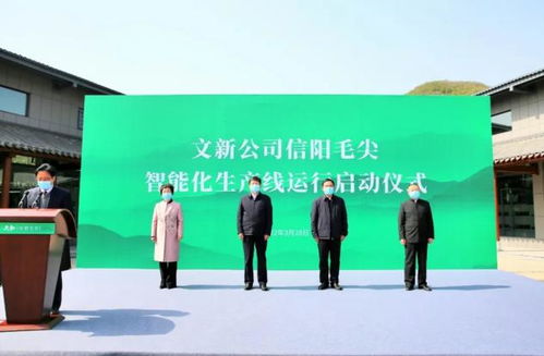 信阳市人民政府，城市发展的舵手，人民幸福的守护者