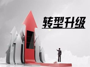 企业改制，转型之路的机遇与挑战