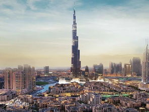 非政府间国际组织，全球合作的桥梁