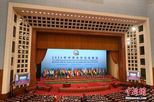 非政府间国际组织，全球合作的桥梁