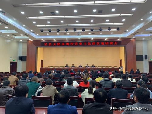 文化市场管理，维护秩序，促进发展