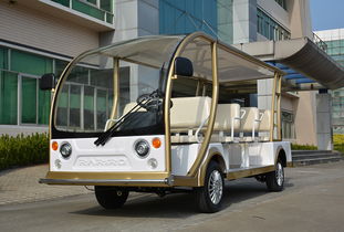 城市新风景，载客电动三轮车的环保革命与社会影响