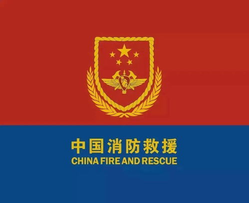 衡水市公安局，守护平安的坚实盾牌