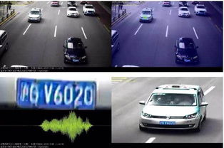 上海电子警察交通违章查询，如何高效管理您的驾驶记录