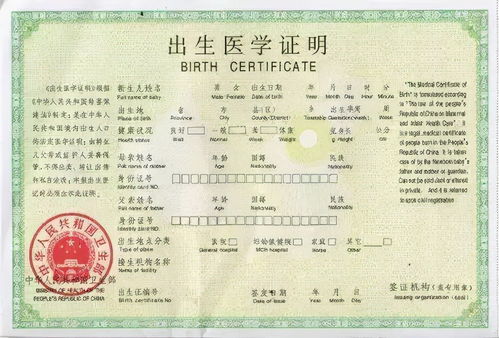 全面指南，准生证办理流程及注意事项