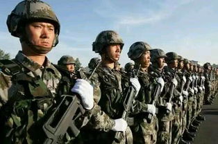 绿色军营，金色梦想，大专生投身军旅的荣耀之旅