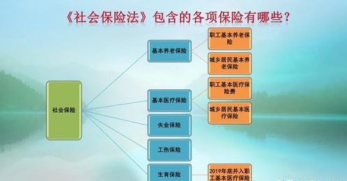 自由职业者养老保险，规划未来，保障生活