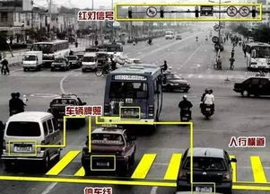 解码交通违章，了解违章代码，避免不必要的罚款