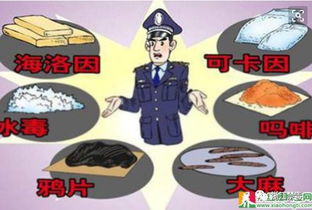 揭秘传统毒品，历史、种类及其危害