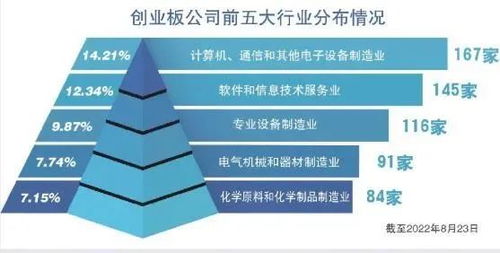 创业板的魔法，解锁创新企业的成长密码