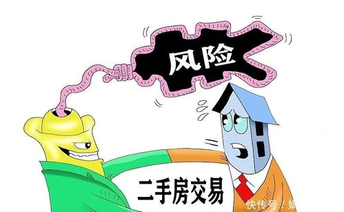 深入解析，抵押车辆的过户流程与注意事项