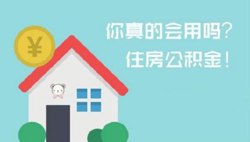 全面解析，如何高效取出住房公积金