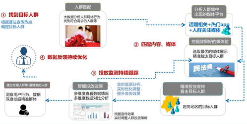 探索法律智慧的核心，原则、实践与创新