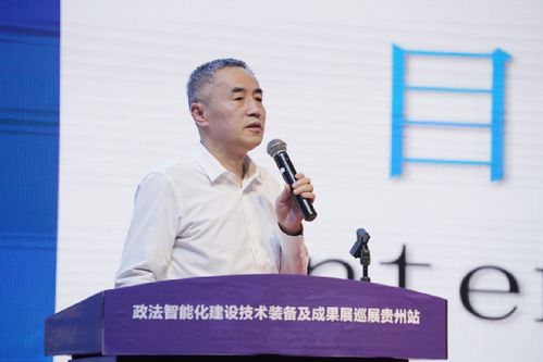 探索法律智慧的核心，原则、实践与创新