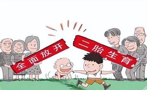 探索第二胎政策，影响、挑战与机遇