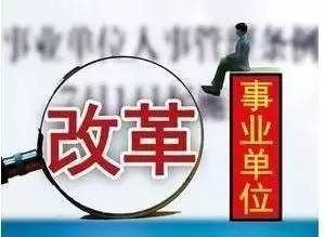 探索第二胎政策，影响、挑战与机遇