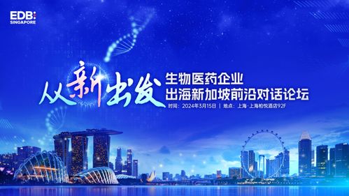 探索广西北部湾，商业机遇与挑战