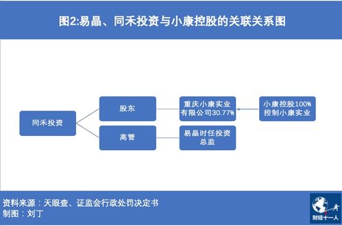 上市公司关联交易，理解、风险与合规策略