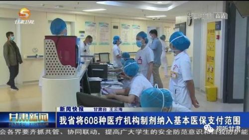 甘肃卫生厅网站，数字化医疗的桥梁与挑战