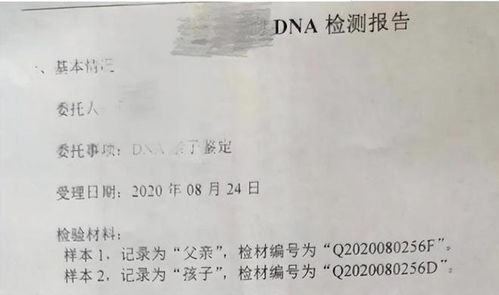 大连亲子鉴定，科学、法律与情感的交织