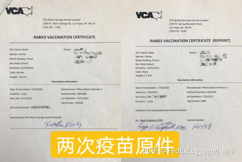 疫情期间办理健康证明全攻略，步骤、注意事项与常见问题解答