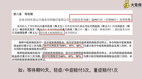深入了解失业保险缴费比例，保障与责任的平衡