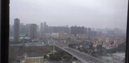 退役士兵安置，从战场到家园的桥梁