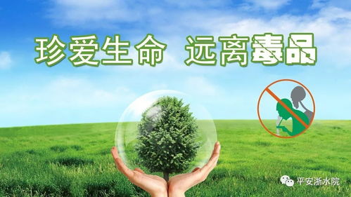 揭开毒品的神秘面纱，了解、预防与拒绝