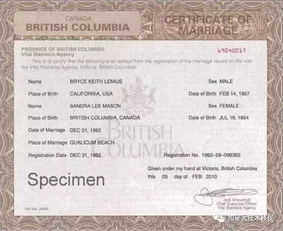 携手共进，申请结婚登记声明书的甜蜜指南