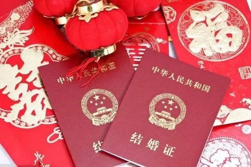 携手共进，申请结婚登记声明书的甜蜜指南