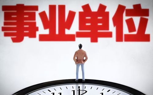 揭秘，事业单位工资构成的奥秘