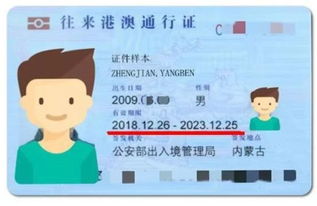 港澳通行证网上预约，便捷出行的智能选择