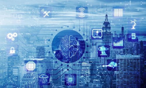 法律智慧的灯塔，警句集锦大全，照亮生活与决策