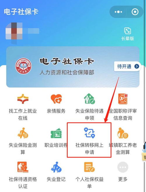 跨省转社保，全面指南与实用技巧