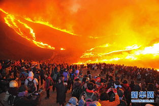 火海中的警示，上海1115火灾事件回顾与反思