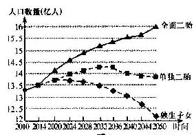 上海单独二胎政策，家庭规划的新篇章