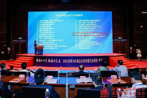 深圳工商行政管理局，企业成长的守护者