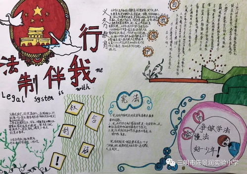 绘出法治之美，打造简单又漂亮的法律知识手抄报