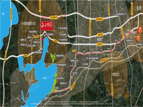 硫酸毁容案，深入了解背后的法律、心理与社会影响